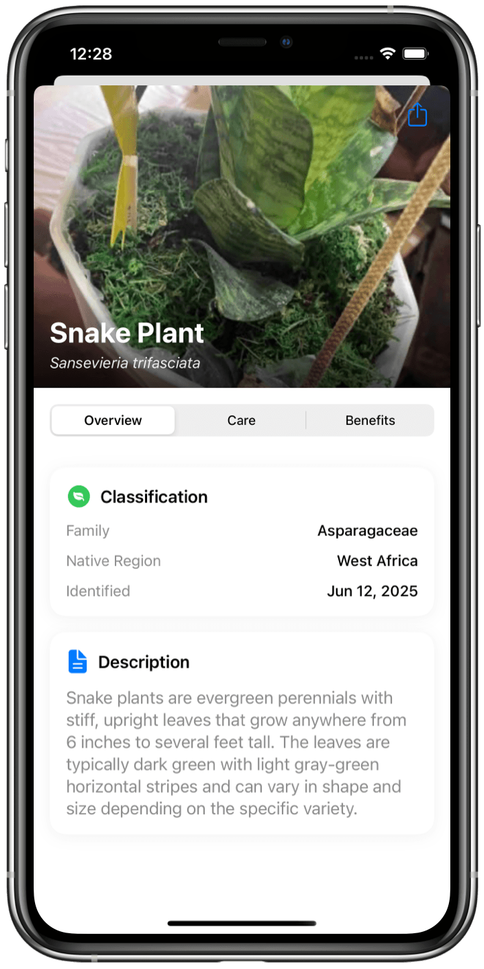 Plant Identifier App Interface